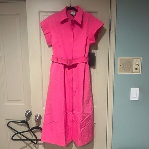 NWT Tuckernuck Hot Pink Chloe Dress